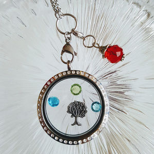 𝅺January Birthstone Lobster Clasp Floating Charm